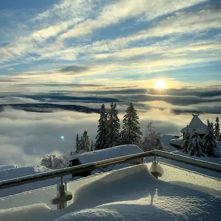 아파트 Cosy With In/out *